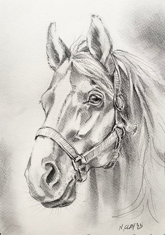 7x10” *Original* Horse Sketch