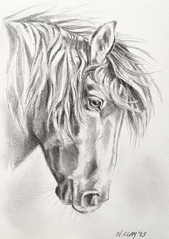 7x10” *Original* Horse Sketch #2