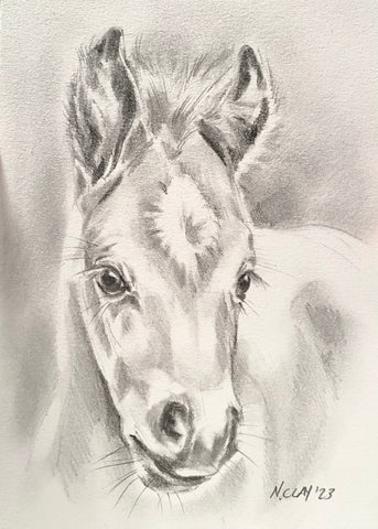 5x7” *Original* Foal