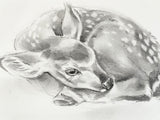 8x10” *Original* Fawn