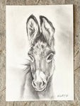 7x10” *Original* Donkey