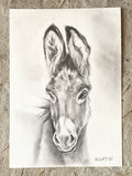 7x10” *Original* Donkey