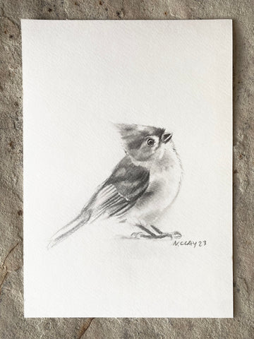 7x10” *Original* Tufted Titmouse