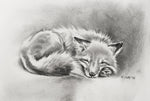 7x10” *Original* Sleeping Fox