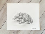 8x10” *Original* Fawn